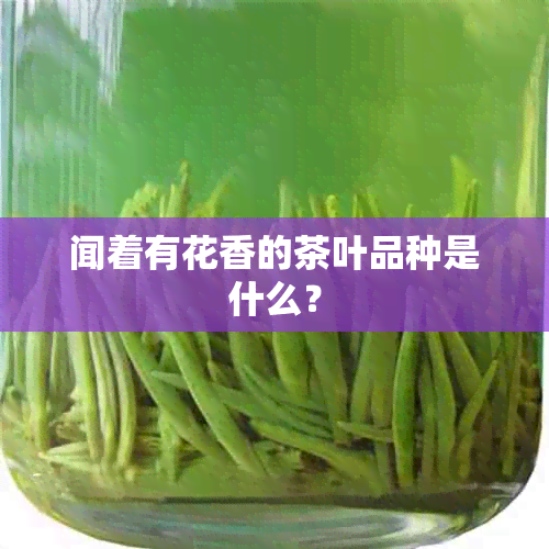 闻着有花香的茶叶品种是什么？