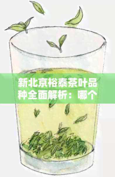 新北京裕泰茶叶品种全面解析：哪个品种更适合您？