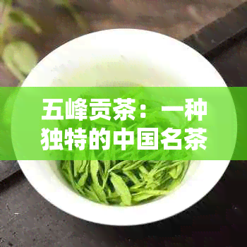 五峰贡茶：一种独特的中国名茶，了解其品种、制作工艺和品饮技巧