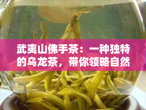 武夷山佛手茶：一种独特的乌龙茶，带你领略自然风韵与人文历