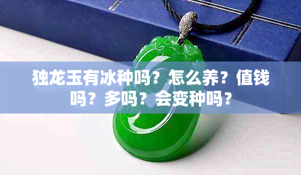 独龙玉有冰种吗？怎么养？值钱吗？多吗？会变种吗？