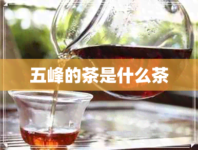 五峰的茶是什么茶