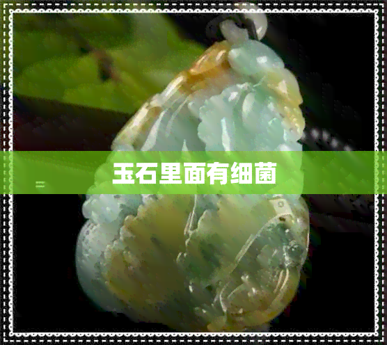 玉石里面有细菌