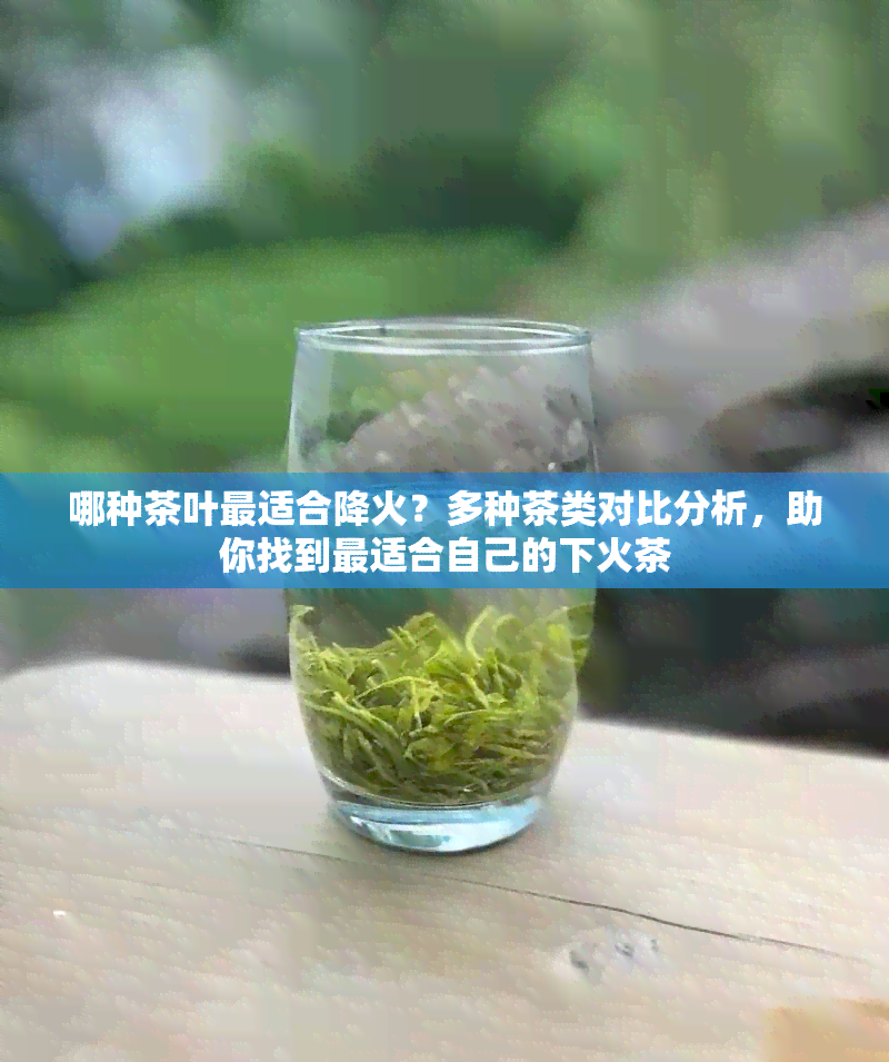 哪种茶叶最适合降火？多种茶类对比分析，助你找到最适合自己的下火茶