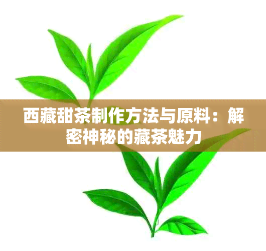  *** 甜茶制作方法与原料：解密神秘的藏茶魅力