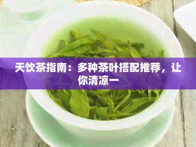 天饮茶指南：多种茶叶搭配推荐，让你清凉一