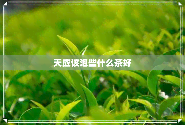 天应该泡些什么茶好