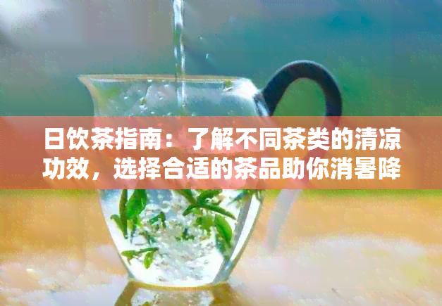 日饮茶指南：了解不同茶类的清凉功效，选择合适的茶品助你消暑降