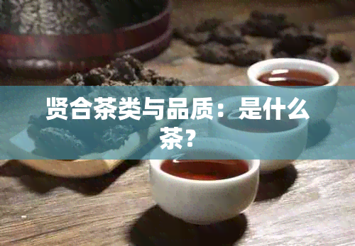 贤合茶类与品质：是什么茶？