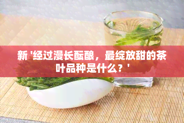 新 '经过漫长酝酿，最绽放甜的茶叶品种是什么？'