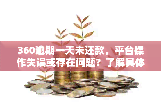 360逾期一天未还款，平台操作失误或存在问题？了解具体原因及解决方案