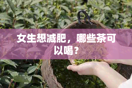 女生想减肥，哪些茶可以喝？