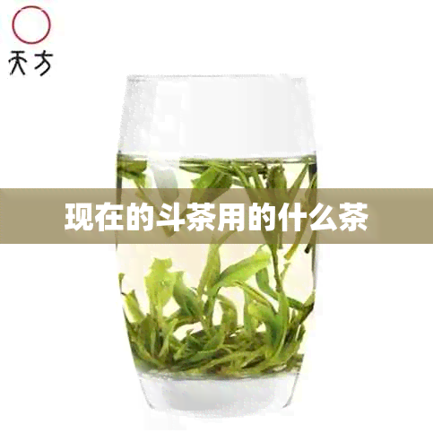 现在的斗茶用的什么茶