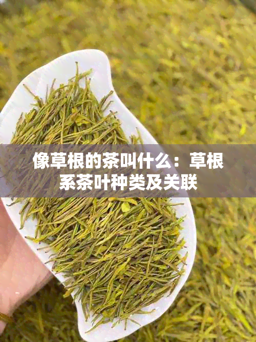 像草根的茶叫什么：草根系茶叶种类及关联