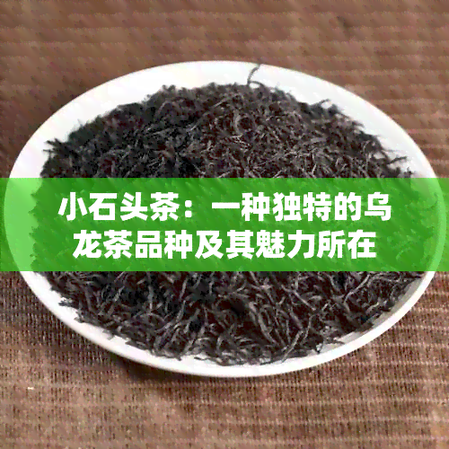 小石头茶：一种独特的乌龙茶品种及其魅力所在