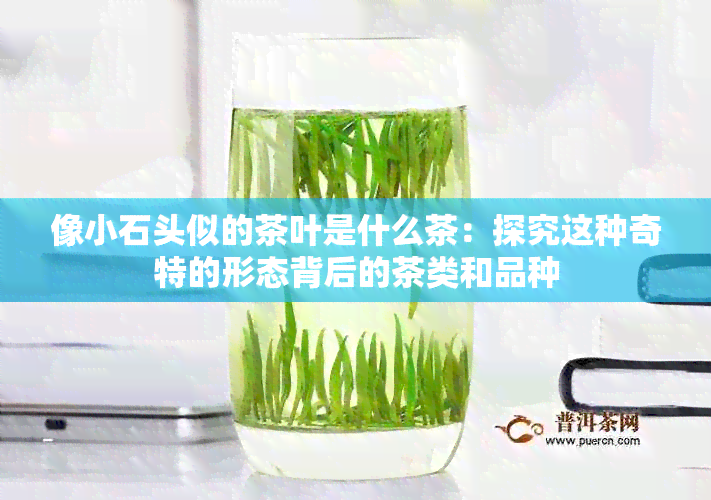 像小石头似的茶叶是什么茶：探究这种奇特的形态背后的茶类和品种