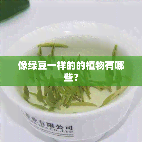 像绿豆一样的的植物有哪些？