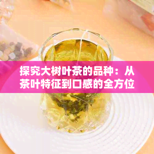 探究大树叶茶的品种：从茶叶特征到口感的全方位解析