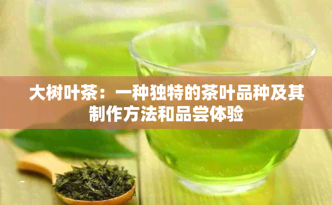 大树叶茶：一种独特的茶叶品种及其制作方法和品尝体验