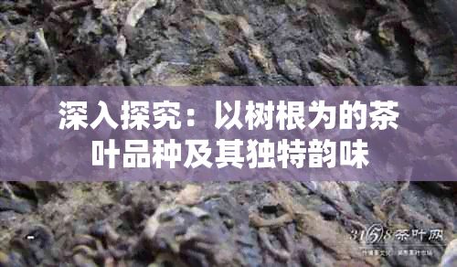 深入探究：以树根为的茶叶品种及其独特韵味