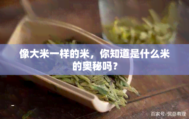 像大米一样的米，你知道是什么米的奥秘吗？