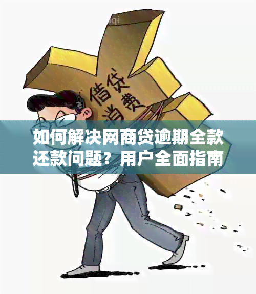 如何解决网商贷逾期全款还款问题？用户全面指南