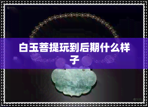 白玉菩提玩到后期什么样子