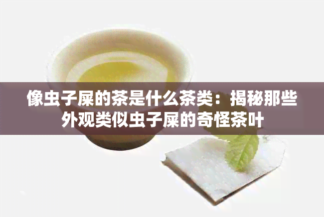 像虫子屎的茶是什么茶类：揭秘那些外观类似虫子屎的奇怪茶叶