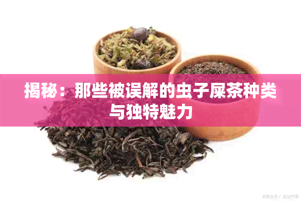 揭秘：那些被误解的虫子屎茶种类与独特魅力