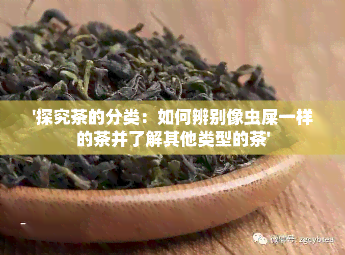 '探究茶的分类：如何辨别像虫屎一样的茶并了解其他类型的茶'