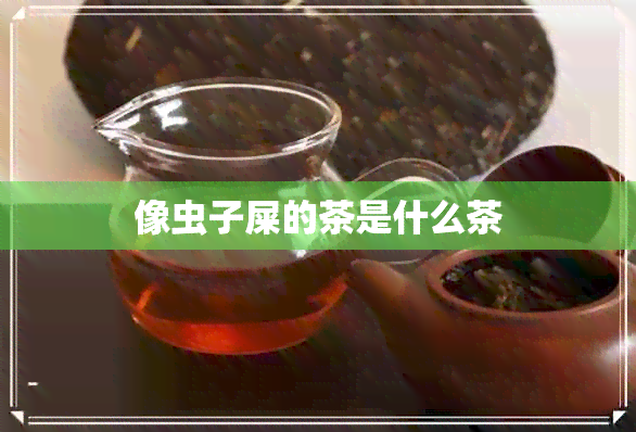 像虫子屎的茶是什么茶