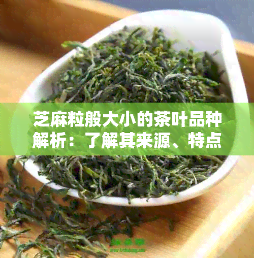 芝麻粒般大小的茶叶品种解析：了解其来源、特点和冲泡方法