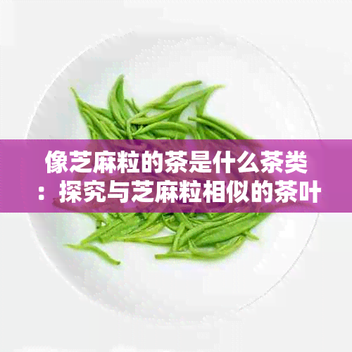 像芝麻粒的茶是什么茶类：探究与芝麻粒相似的茶叶种类