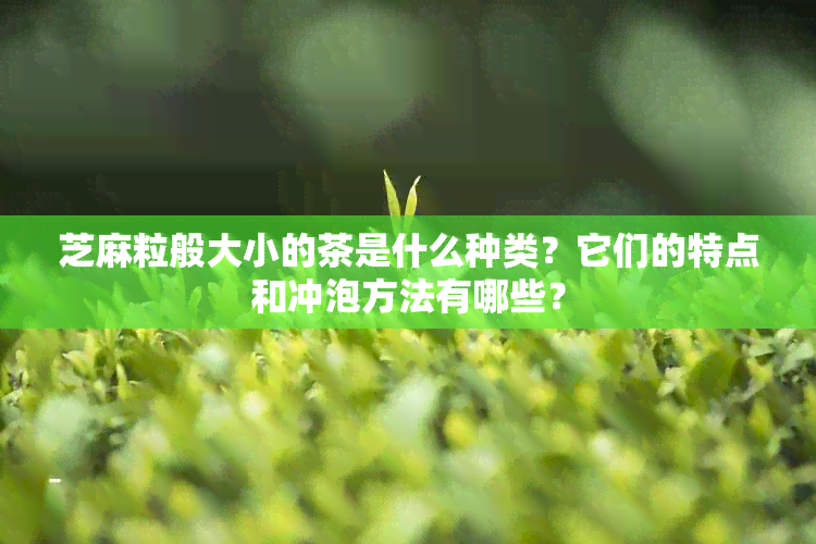 芝麻粒般大小的茶是什么种类？它们的特点和冲泡方法有哪些？