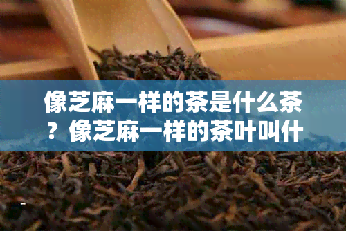 像芝麻一样的茶是什么茶？像芝麻一样的茶叶叫什么名字？