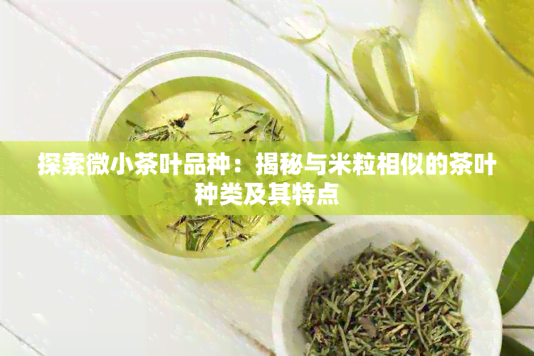 探索微小茶叶品种：揭秘与米粒相似的茶叶种类及其特点