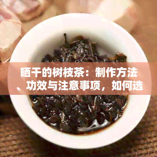 晒干的树枝茶：制作方法、功效与注意事项，如何选择和品尝？