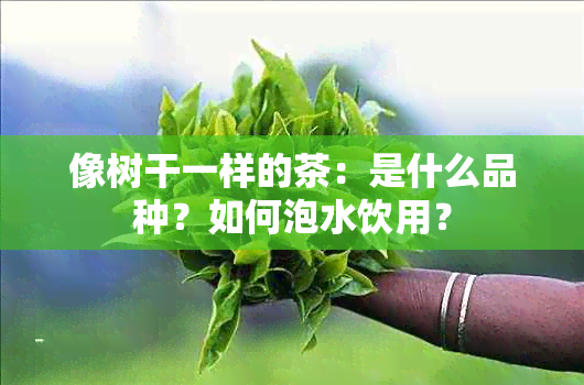 像树干一样的茶：是什么品种？如何泡水饮用？