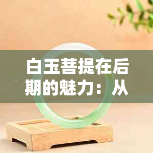 白玉菩提在后期的魅力：从收藏到鉴赏，一步步探索其无限可能