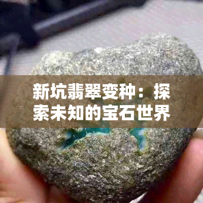 新坑翡翠变种：探索未知的宝石世界