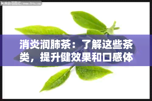 消炎润肺茶：了解这些茶类，提升健效果和口感体验