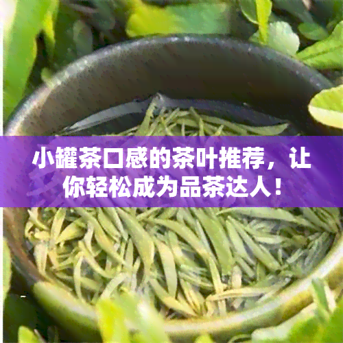 小罐茶口感的茶叶推荐，让你轻松成为品茶达人！