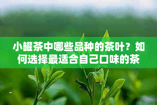 小罐茶中哪些品种的茶叶？如何选择最适合自己口味的茶叶？