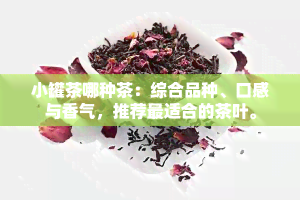 小罐茶哪种茶：综合品种、口感与香气，推荐最适合的茶叶。