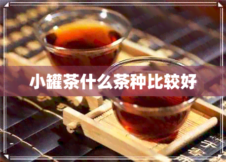 小罐茶什么茶种比较好