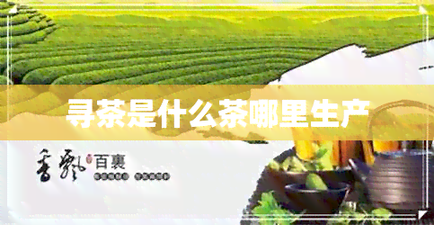 寻茶是什么茶哪里生产