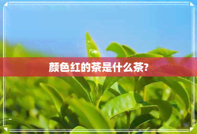 颜色红的茶是什么茶?