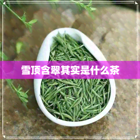 雪顶含翠其实是什么茶