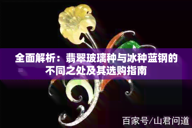 全面解析：翡翠玻璃种与冰种蓝钢的不同之处及其选购指南