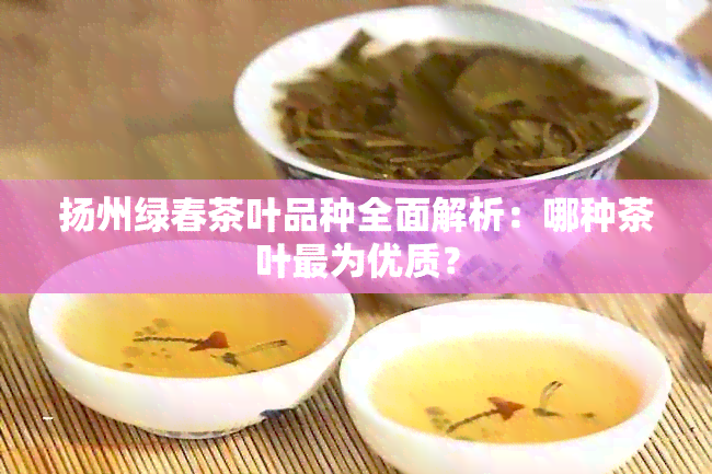 扬州绿春茶叶品种全面解析：哪种茶叶最为优质？